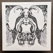 Ant Trip Ceremony – 24 Hours