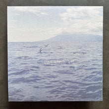 Dolphins Into The Future – Canto Arquipélago