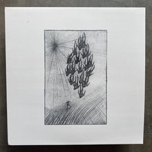 Áine O'Dwyer – Locusts
