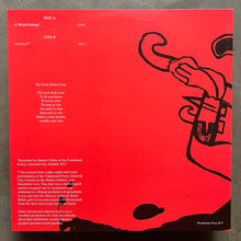 Áine O'Dwyer – Gegenschein