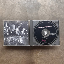 Charlemagne Palestine ‎– Strumming Music (CD)