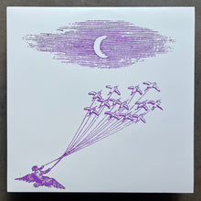 Feeling Figures – Migration Magic