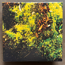 Tirath Singh Nirmala & Richard Youngs – Richard Youngs & Tirath Singh Nirmala