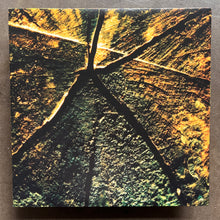Tirath Singh Nirmala & Richard Youngs – Richard Youngs & Tirath Singh Nirmala
