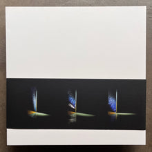 Raime – Planted