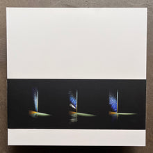 Raime – Planted