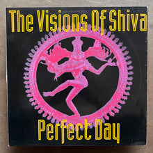The Visions Of Shiva – Perfect Day