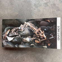 :zoviet-france: – Loh Land