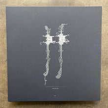 Sage Alyte – Paume de Pierre