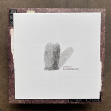 Jon No Son (ジョンのサン) - Short Guide