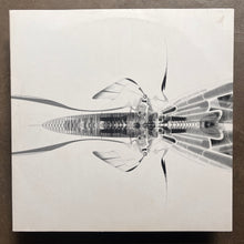 Bola – Mauver