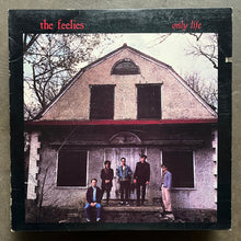 The Feelies – Only Life