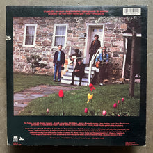The Feelies – Only Life
