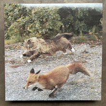 Devon Rexi meets John T. Gast - Breathstep