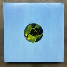 Blue Lake – Moving