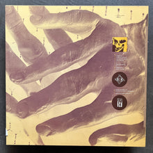 23 Skidoo – Seven Songs