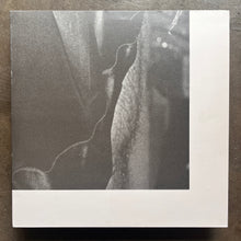Playgroup – Previously Unreleased (Record Four Of Nine)