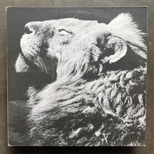 Anthony Naples – El Portal