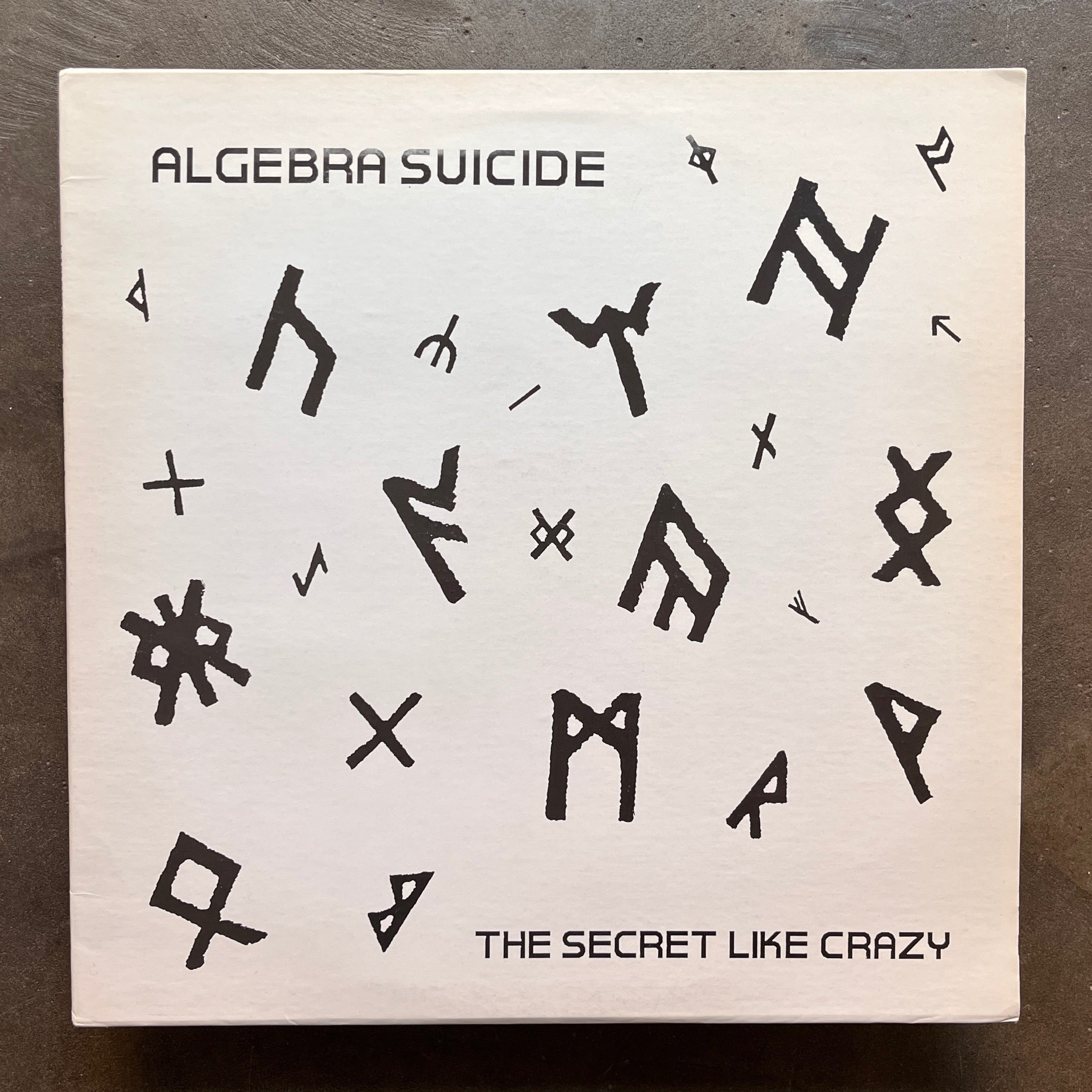 洋楽 ALgebra Suicide The Secret Like Crazy Algebra Suicide – The Secret Like Crazy – All Night Flight Records