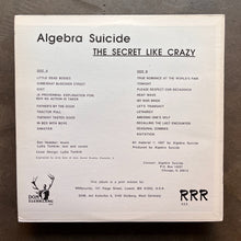 Algebra Suicide – The Secret Like Crazy