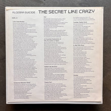 Algebra Suicide – The Secret Like Crazy
