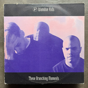 Wamdue Kids – These Branching Moments – All Night Flight Records