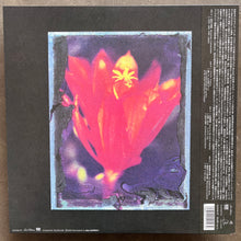 Naoki Zushi – Phenomenal Luciferin = 現象化する発光素