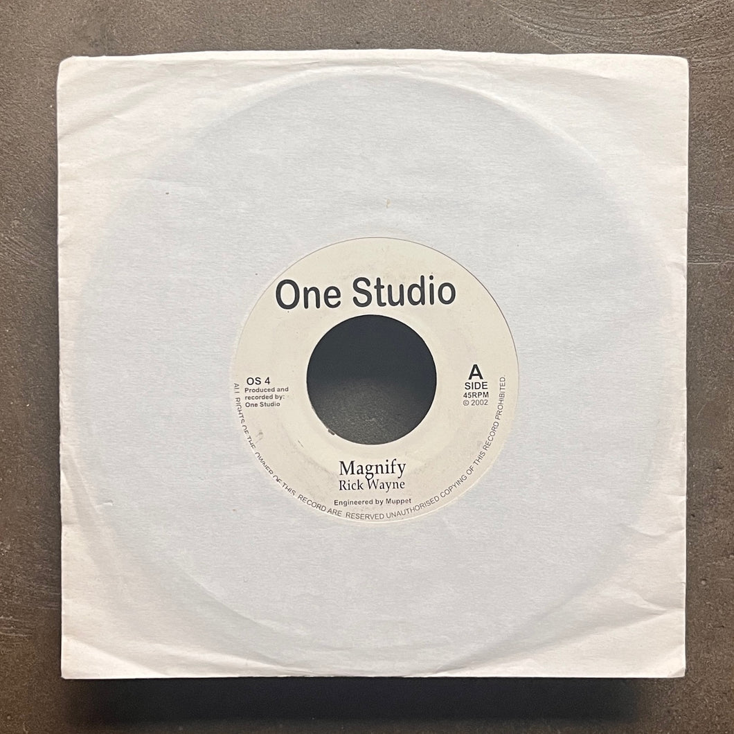 Rick Wayne – Magnify – All Night Flight Records