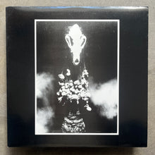 Various ‎– Freedom In A Vacuum