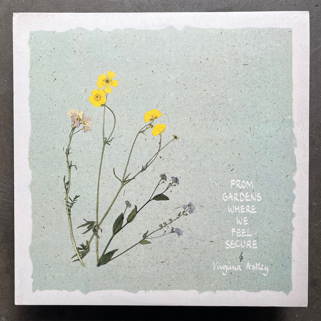 Virginia Astley – From Gardens Where We Feel Secure – All Night