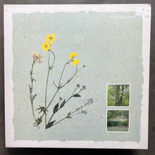 Virginia Astley – From Gardens Where We Feel Secure