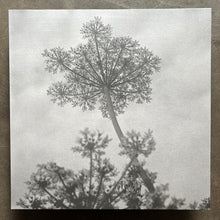 Carousell – Black Swallow & Other Songs