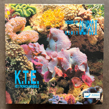 Key Tronics Ensemble – House Of Calypso II Remix