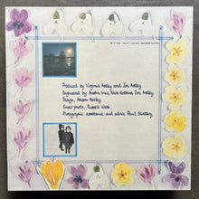 Virginia Astley – Melt The Snow