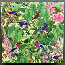 Mark Barrott – Sketches From An Island