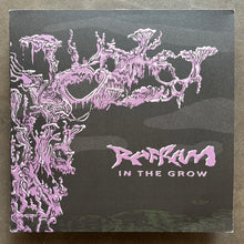 RAFRAM – In The Grow