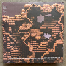 Dengue Dengue Dengue  ‎– Fiebre