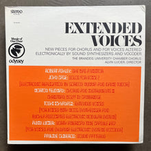 Alvin Lucier / Various – Extended Voices