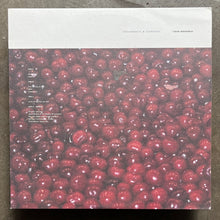 Oren Ambarchi – Suspension
