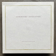 Daren Seymour & Mark Van Hoen – Aurobindo: Involution