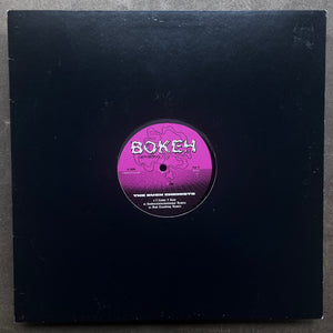 The Bush Chemists – I Came I Saw