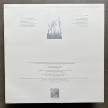 Raffaele Serra ‎– Ritual In Transfigured Time