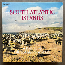 No Artist – South Atlantic Islands - A Portrait Of Falkland Islands Wild Life
