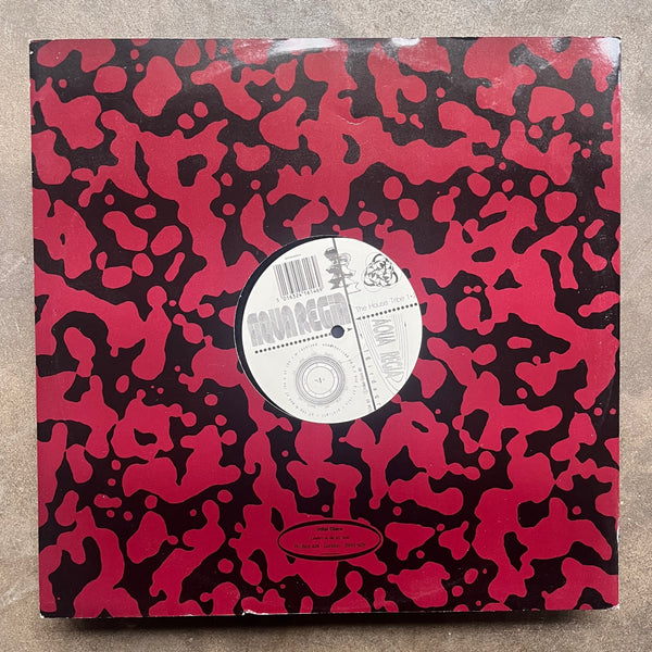 Aqua Regia – The House Tribe