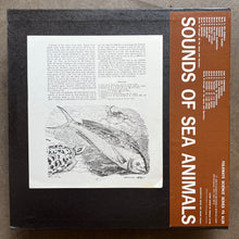 No Artist – Sounds Of Sea Animals: Vol. 2 Florida