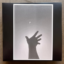 Ratvader – Kite