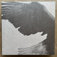 Dissemblance – Over The Sand