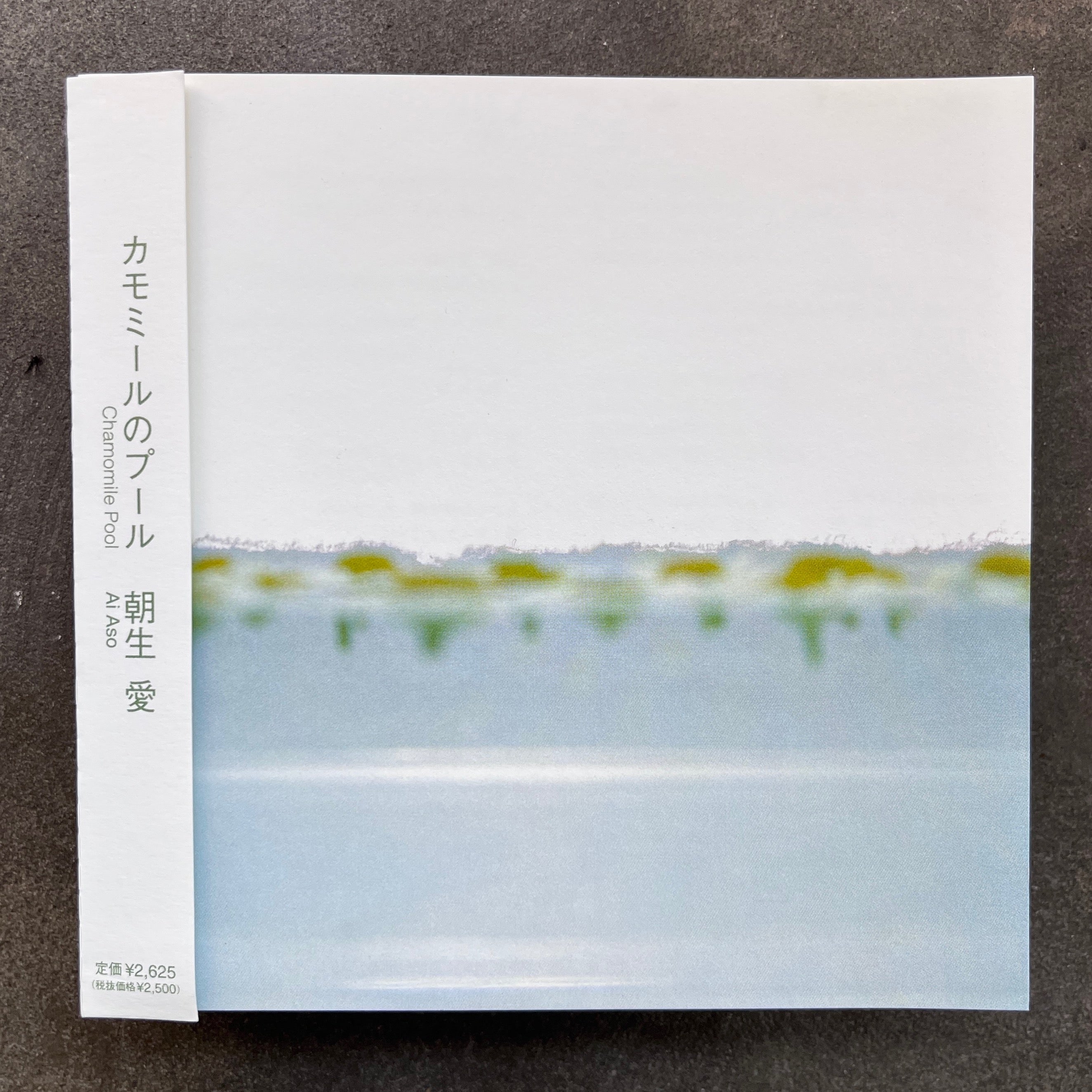 朝生愛 (Ai Aso) – カモミールのプール = Chamomile Pool – All Night