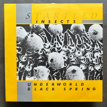 Startled Insects – Underworld / Black Spring