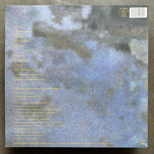 Virginia Astley ‎– Hope In A Darkened Heart